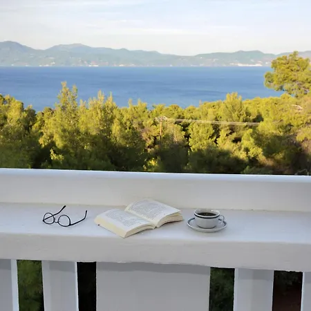 Dream View *